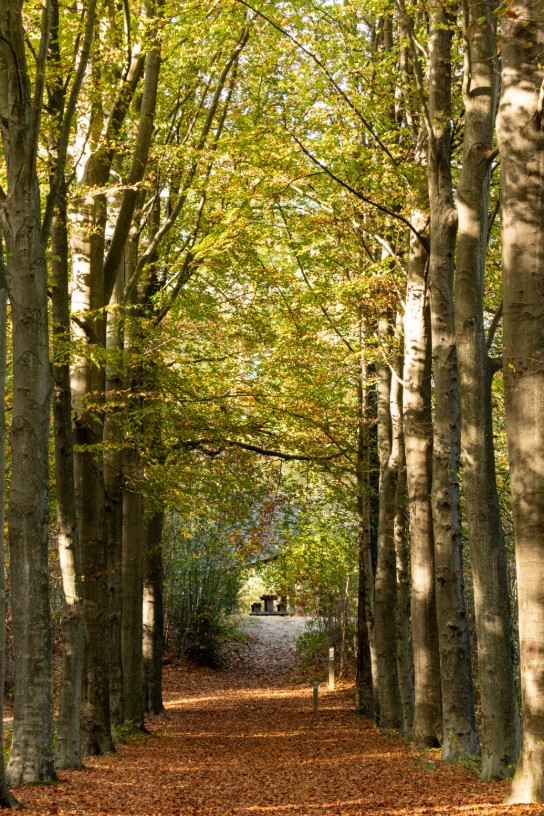 (vergroot foto)